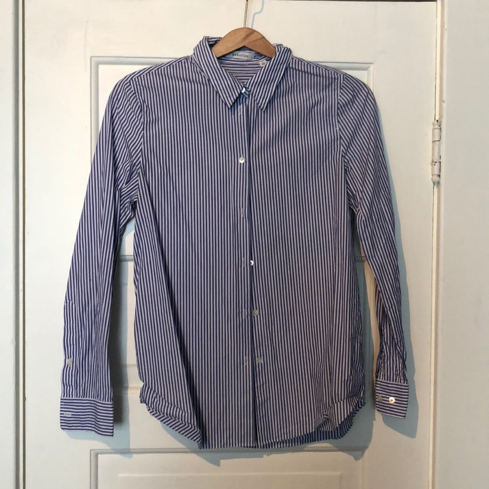 Aritzia Babaton striped dress shirt